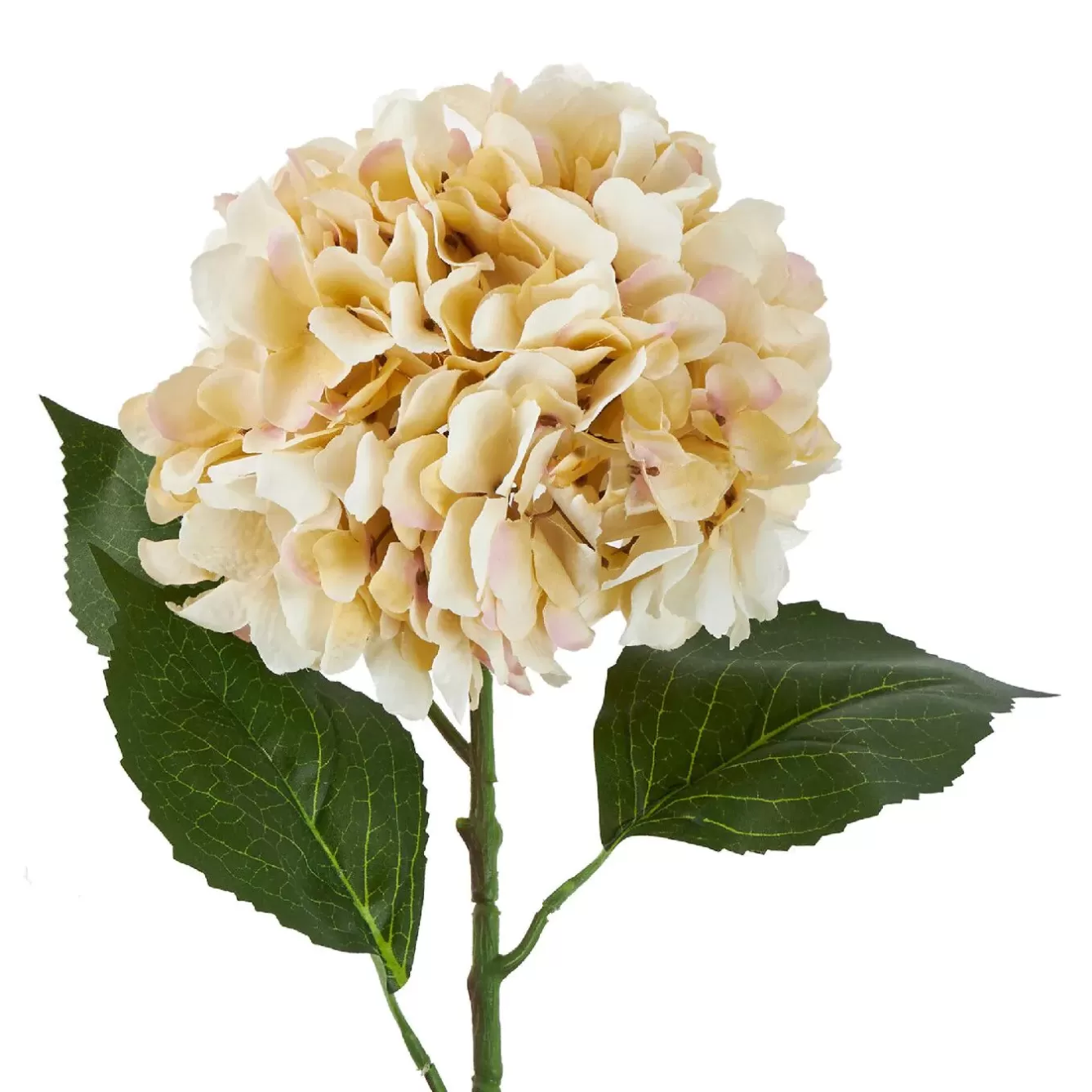 Vasen & Kunstblumen | Weihnachtsdeko>NANU-NANA Hortensie Antik, Creme, 70 Cm