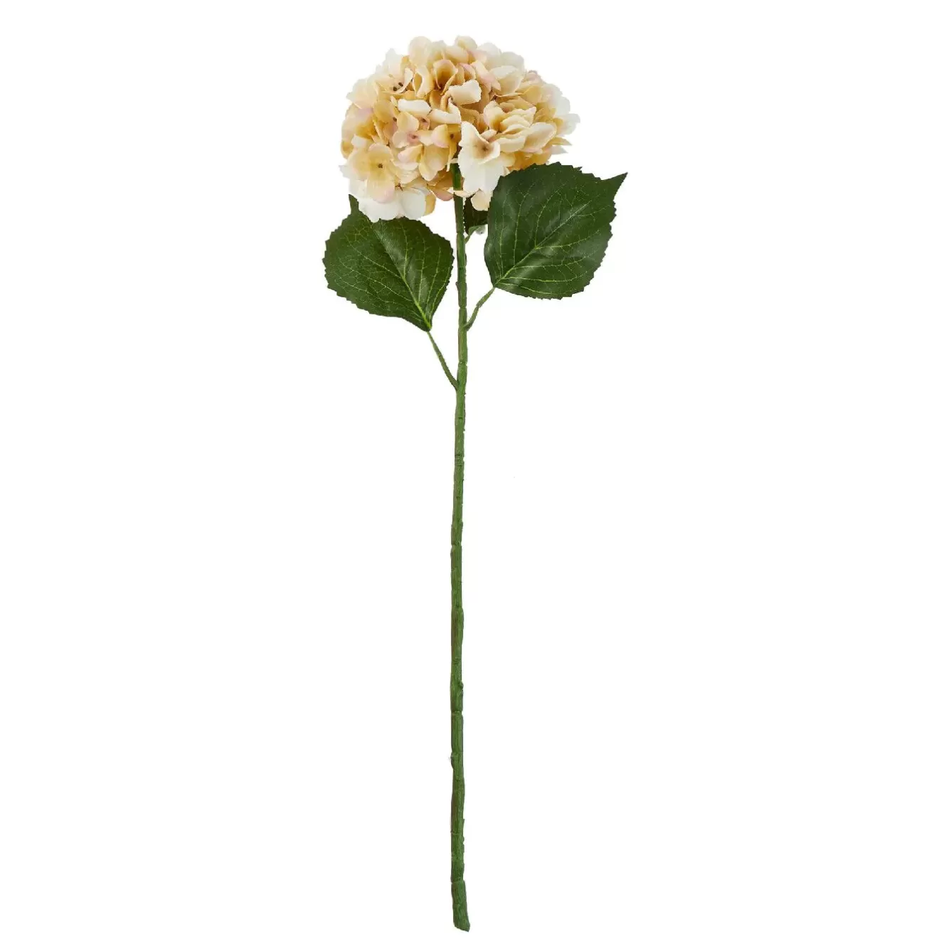 Vasen & Kunstblumen | Weihnachtsdeko>NANU-NANA Hortensie Antik, Creme, 70 Cm