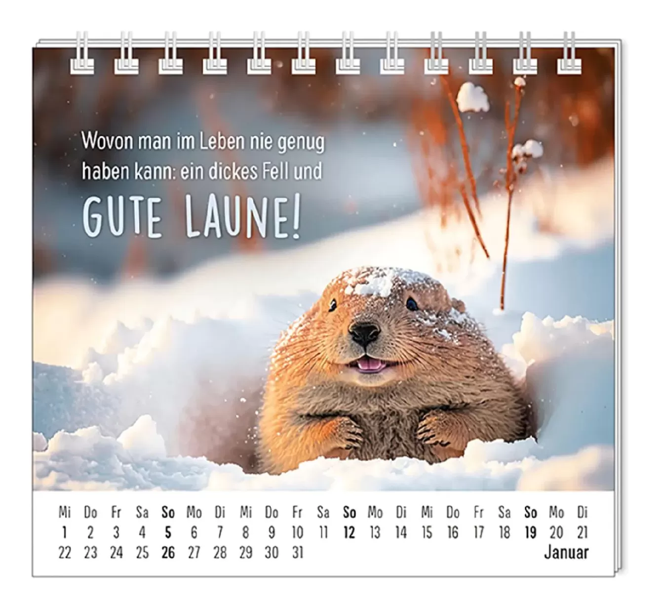 Kalender & Planer | Weihnachtsgeschenke>NANU-NANA Mini-Tischkalender 2025, Happymacher