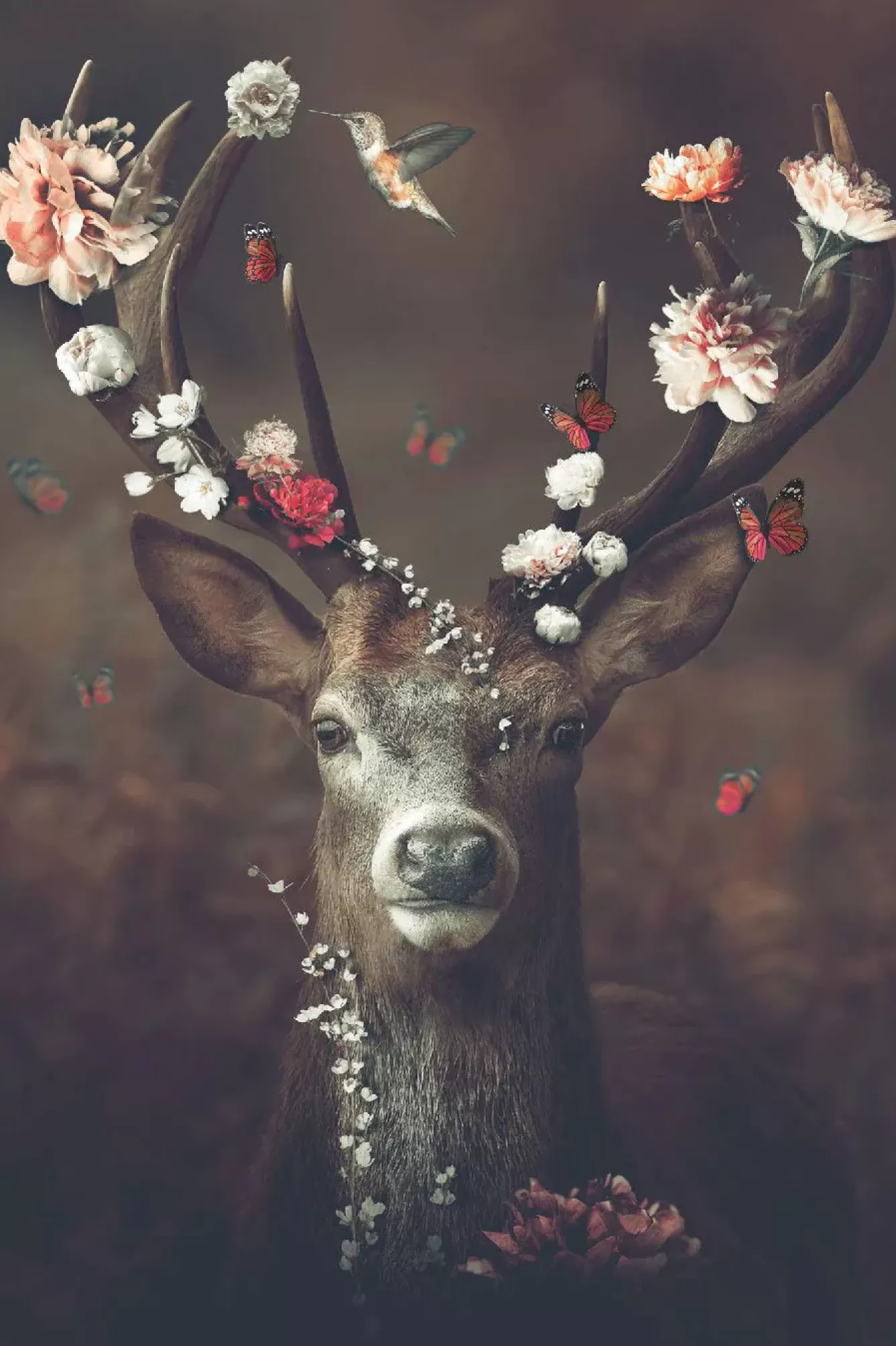 Poster>NANU-NANA Poster Fauna, Flora, Deer, Nr. 19