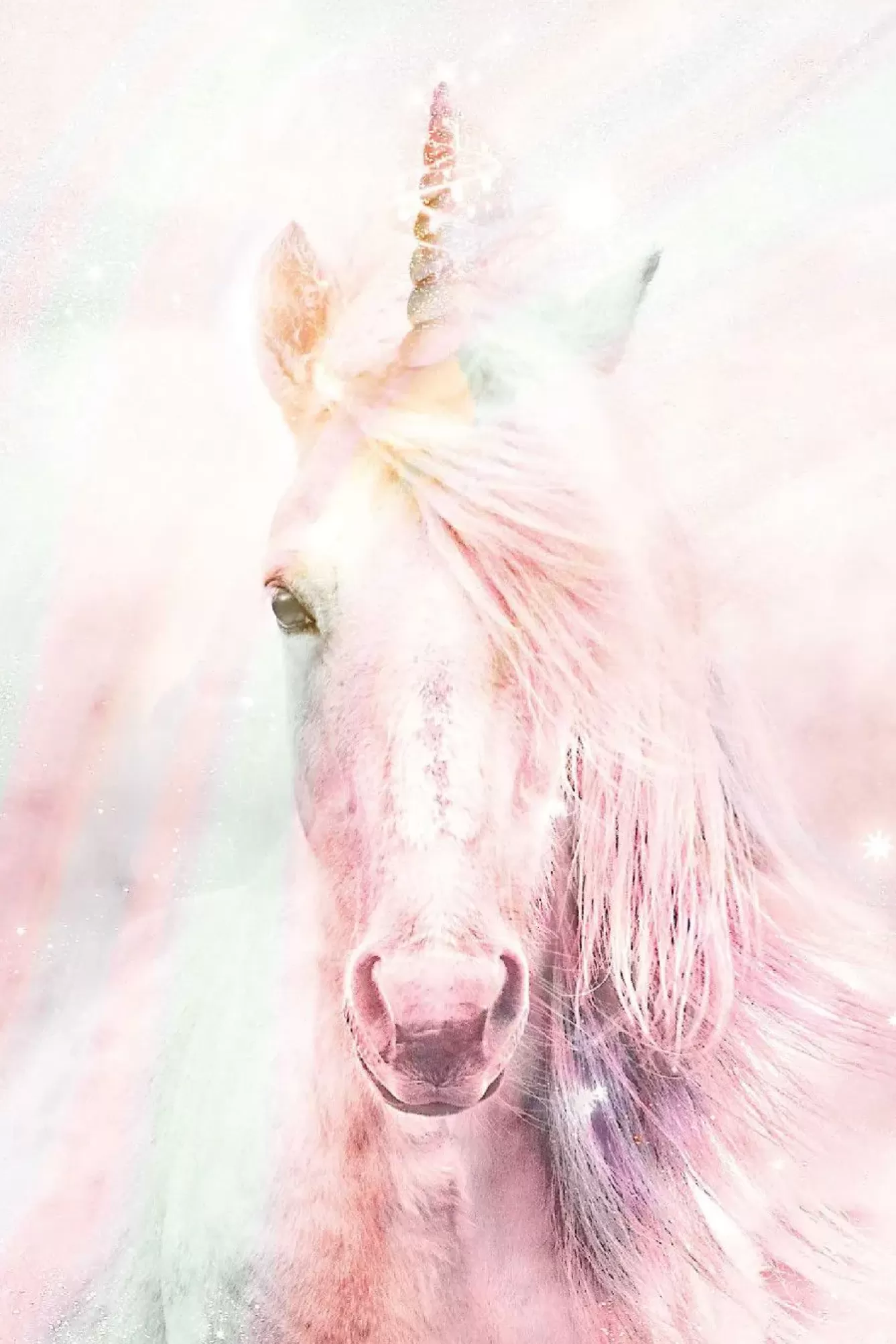 Poster>NANU-NANA Poster Unicorn Fluffy, Nr. 144