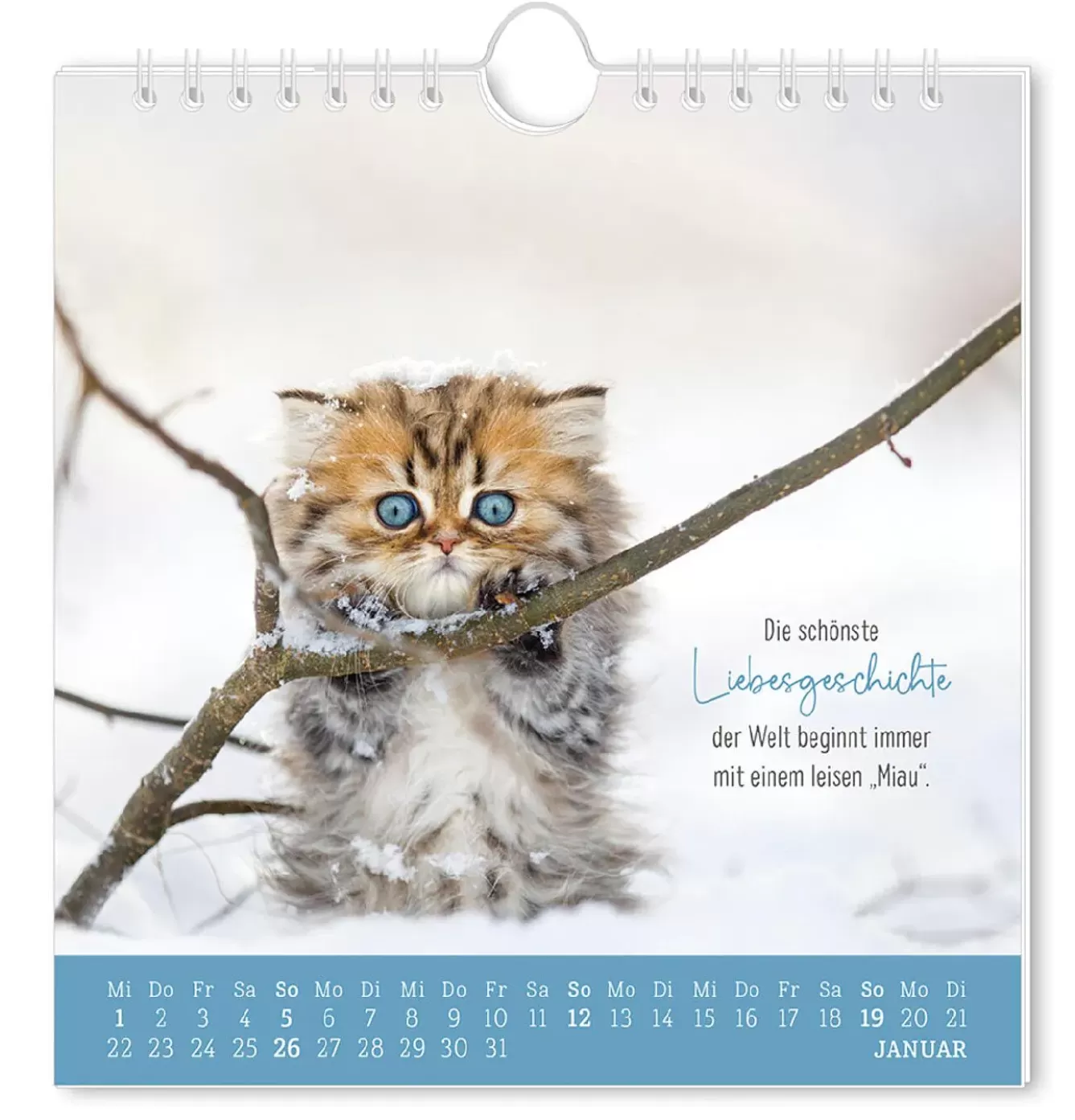 Kalender & Planer | Weihnachtsgeschenke>NANU-NANA Postkarten Kalender, 2025, Auf Leisen Pfoten