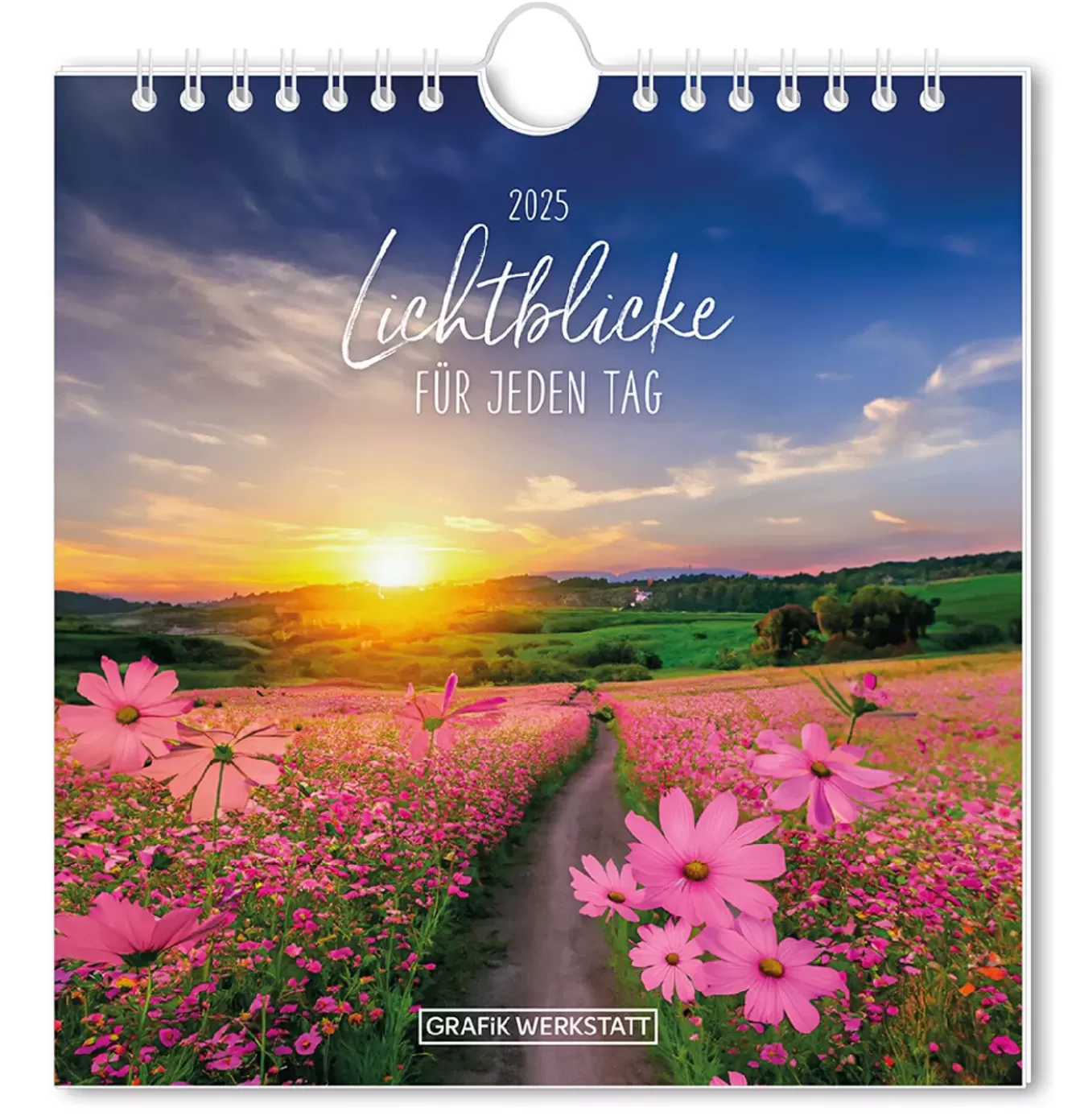 Kalender & Planer | Weihnachtsgeschenke>NANU-NANA Postkarten Kalender, 2025, Lichtblicke